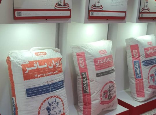 روناس پلیمر کویر