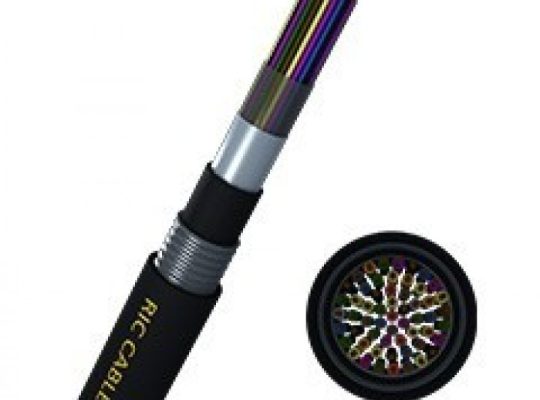 تعاونی اسلامی مجتمع صنعتی رفسنجان