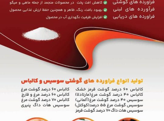 غزال نجم