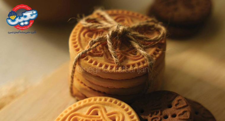 تعاونی صنایع غذایی نگین رفسنجان