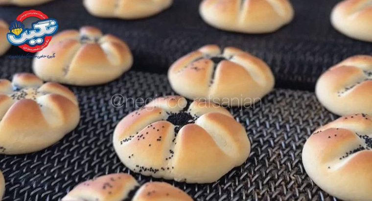 تعاونی صنایع غذایی نگین رفسنجان