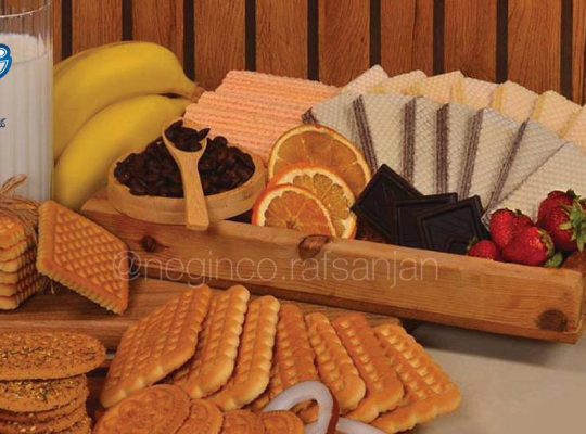 تعاونی صنایع غذایی نگین رفسنجان