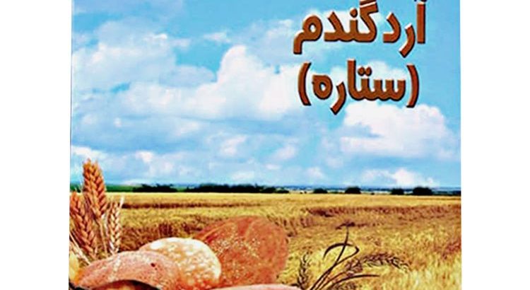 آرد اطمینان الیگودرز