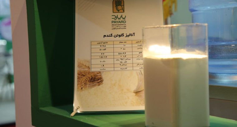 آژند فیدار پایا سلدوز