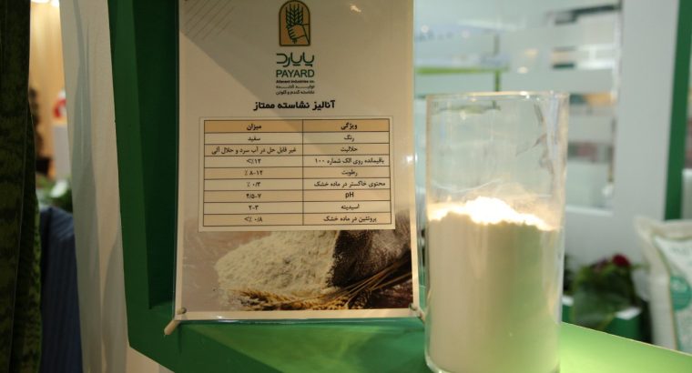 آژند فیدار پایا سلدوز