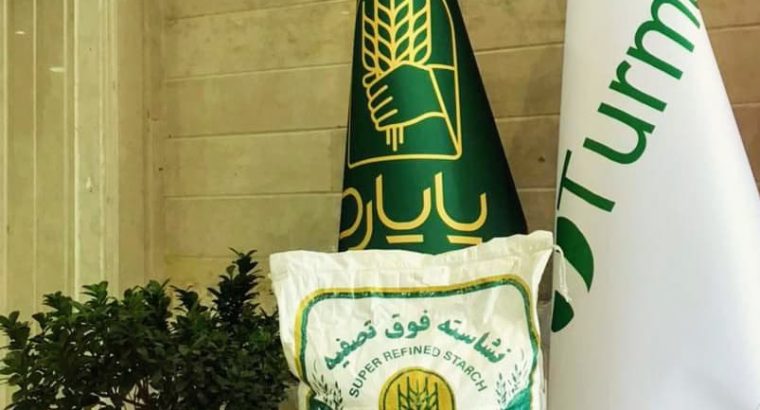 آژند فیدار پایا سلدوز