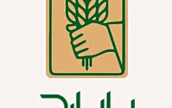 آژند فیدار پایا سلدوز