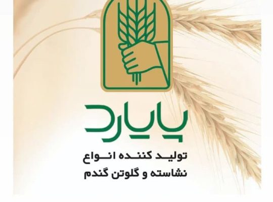 آژند فیدار پایا سلدوز