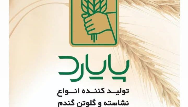 آژند فیدار پایا سلدوز