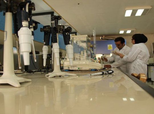 پترو پویش کیمیا