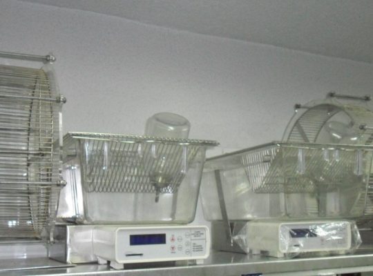 تجهیز گستر امید ایرانیان