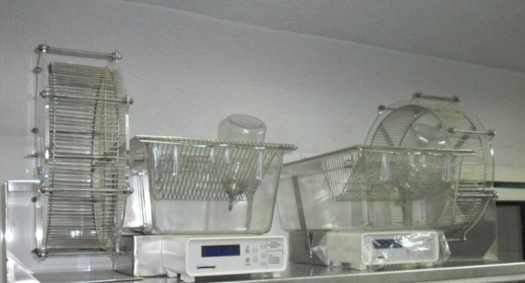 تجهیز گستر امید ایرانیان