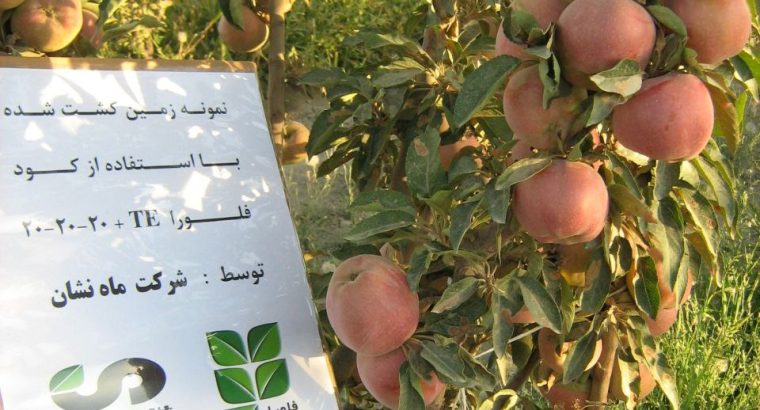 آتیه سازان ماه نشان