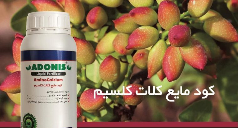 آتیه سازان ماه نشان
