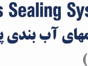 سیستم های آب بندی پارس (بورگمن پارس)