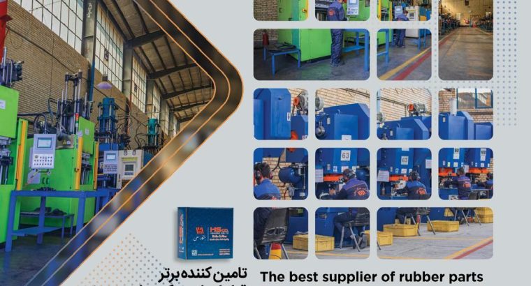 هنگار سعی