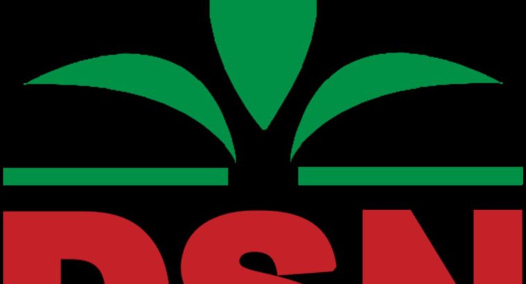 دوستی ثروت نعمت