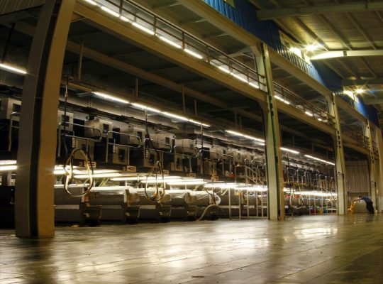 نخ پیوسته زاگرس