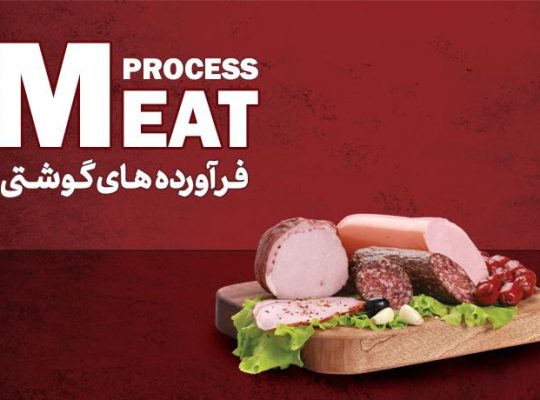 غزال اکسین مهرگان
