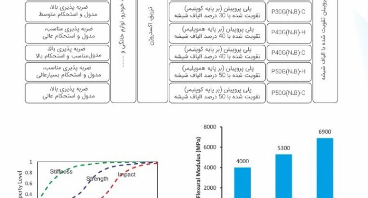 مهندسی نیرومند پلیمر پارس