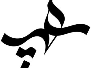 شرکت داده پردازان هومان پویان