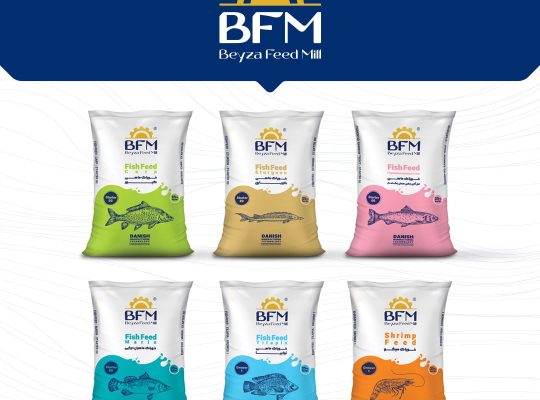 گروہ شرکت ھای تولیدی ۲۱ بیضا