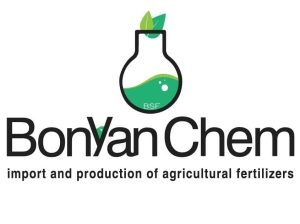 بنیان شیمی رشد