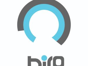 هیرو نگار پارس